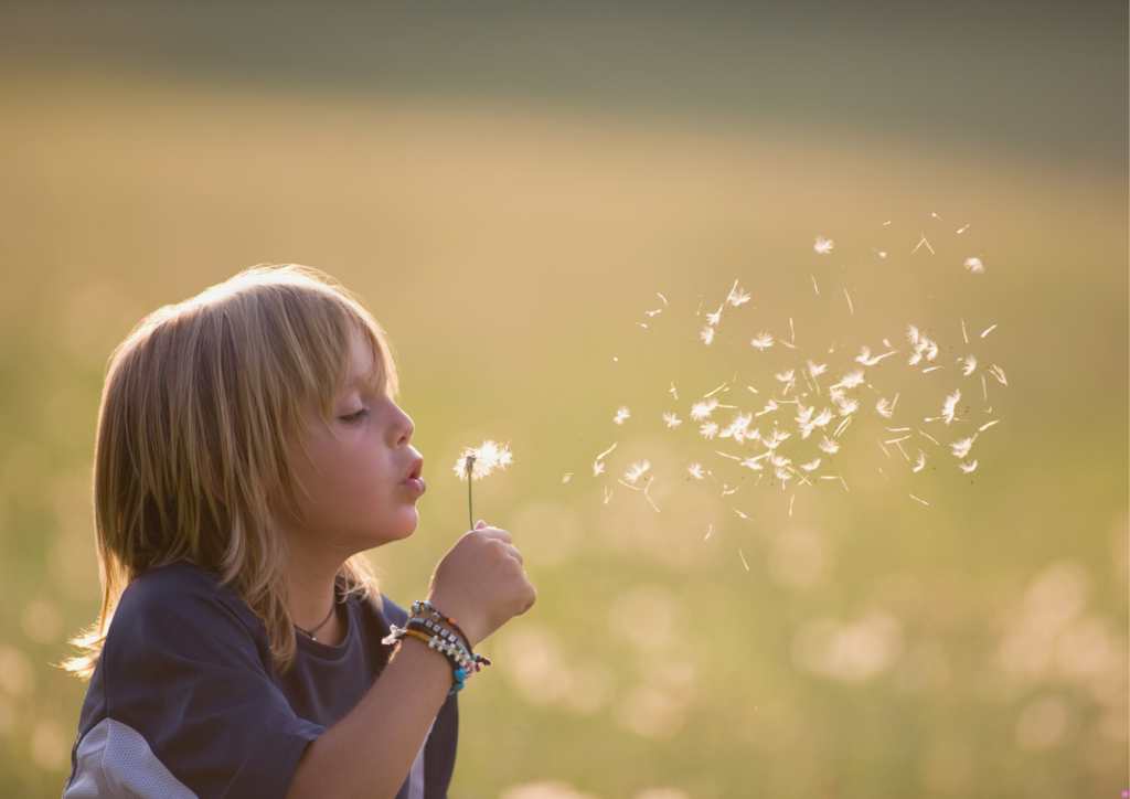Kind pustet eine Pusteblume, Symbol für Leichtigkeit und Innere Kindarbeit